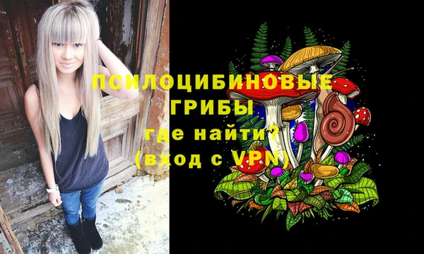 мет Арсеньев