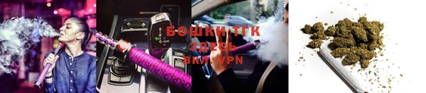 кокс Белокуриха