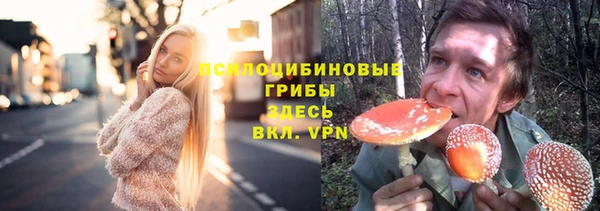 соль курить ск Богородицк