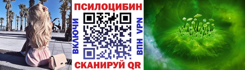 blacksprut   Кингисепп  Псилоцибиновые грибы Psilocybe 
